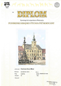 vystavy