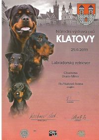 vystavy